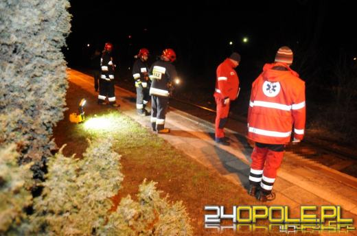 Dziewiętnastoletni mężczyzna wpadł pod pociąg na stacji Wilków Dworcowa