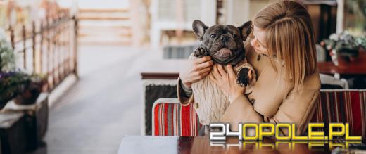 Na kolację z pupilem? Sanepid nie mówi nie