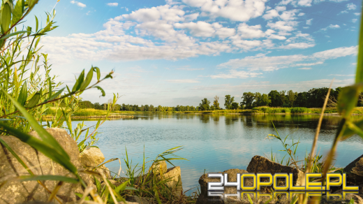 Czy można jeść ryby z Odry? Stan po skażeniach 2024