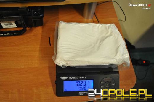 Raciborscy kryminalni zlikwidowali plantację konopi