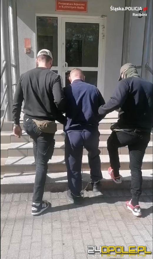 Raciborscy kryminalni zlikwidowali plantację konopi