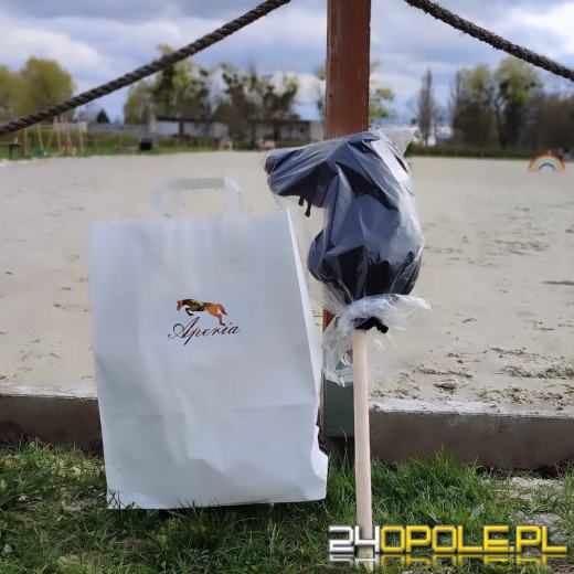 Hobby horse z coraz większą popularnością