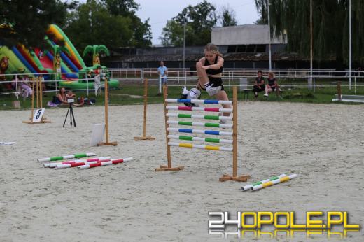 Hobby horse z coraz większą popularnością