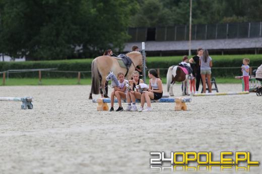 Hobby horse z coraz większą popularnością