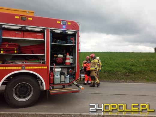 Pracownik telekomunikacji spadł z uszkodzonego słupa