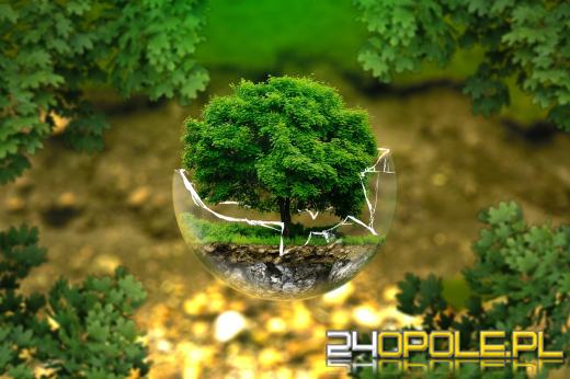 Światowy Dzień Ziemi. Dbajmy o planetę nie tylko od święta