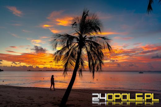 Zalety wakacji last minute. Dlaczego warto?