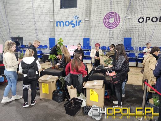 Trwa Festiwal Roślin. Chętnych nie brakuje