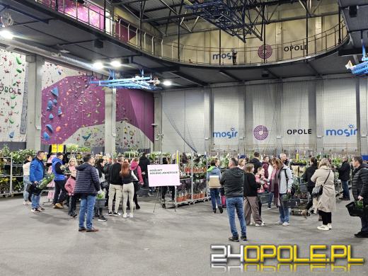 Trwa Festiwal Roślin. Chętnych nie brakuje