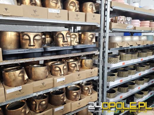 Trwa Festiwal Roślin. Chętnych nie brakuje