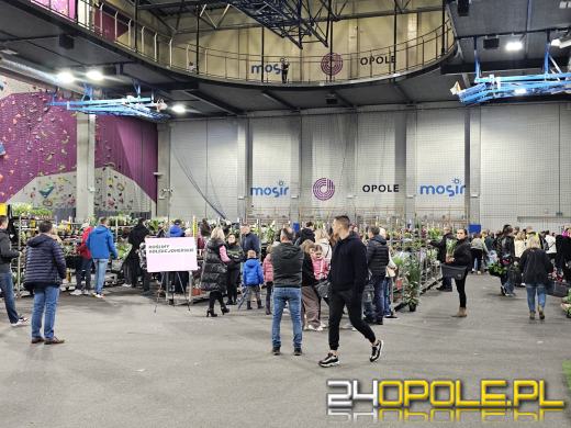 Trwa Festiwal Roślin. Chętnych nie brakuje