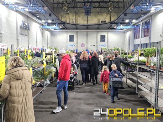 Trwa Festiwal Roślin. Chętnych nie brakuje
