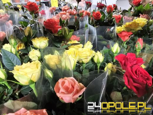 Trwa Festiwal Roślin. Chętnych nie brakuje