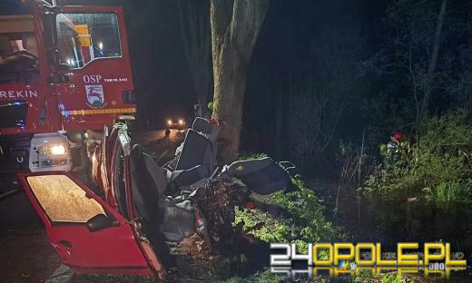 Tragiczny wypadek w Jastrzygowicach: Młody kierowca zginął na miejscu