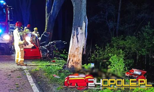 Tragiczny wypadek w Jastrzygowicach: Młody kierowca zginął na miejscu