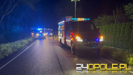 Nietrzeźwa 20-latka potrąciła pieszą i zakończyła jazdę na dachu