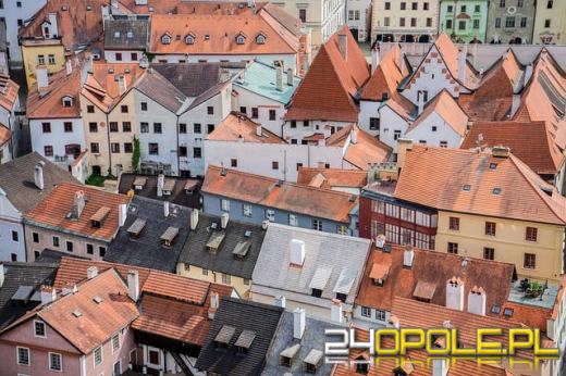 Jak skutecznie prowadzić jednoosobową działalność gospodarczą w Czechach?