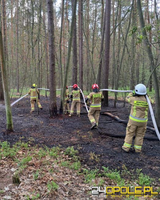 Alarm pożarowy w Kluczborku: Przyczyną mógłbyć  grill. Apel o ostrożność