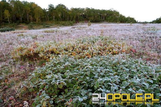 Ostrzeżenie meteorologiczne dla mieszkańców regionu. Uwaga kierowcy