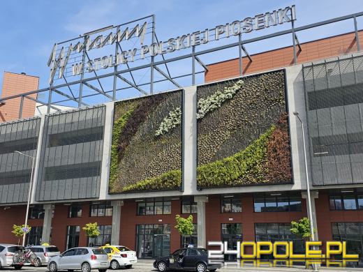 Plac im. Kory jednym z najlepszych projektów w Polsce