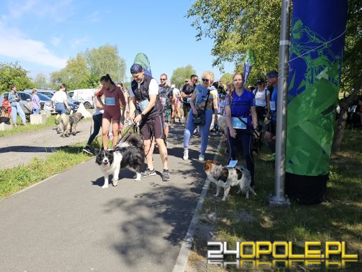 Rodzinny Dogtrekking na kąpielisku Malina