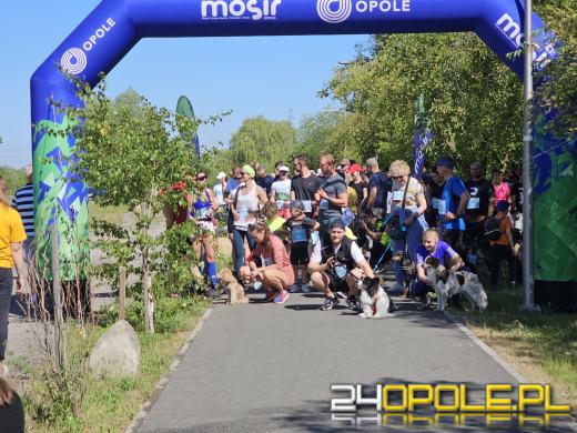 Rodzinny Dogtrekking na kąpielisku Malina