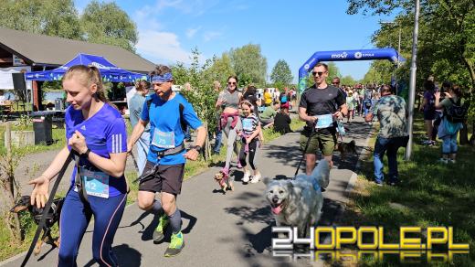 Rodzinny Dogtrekking na kąpielisku Malina