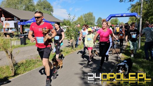 Rodzinny Dogtrekking na kąpielisku Malina