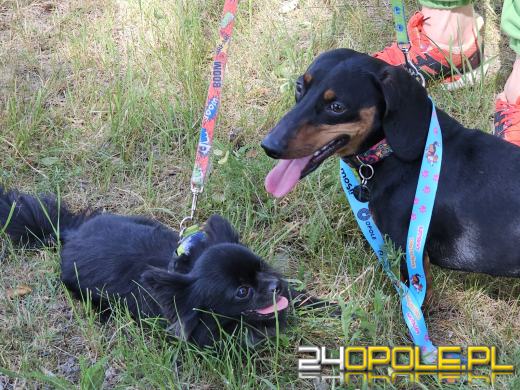 Rodzinny Dogtrekking na kąpielisku Malina