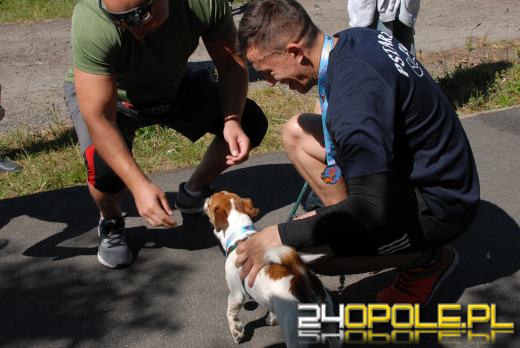 Rodzinny Dogtrekking na kąpielisku Malina
