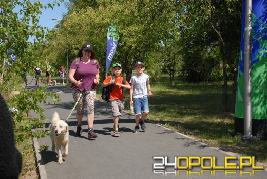 Rodzinny Dogtrekking na kąpielisku Malina