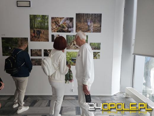 Otwarto Salon Wiosenny 2024: Przyznano nagrody i wyróżnienie