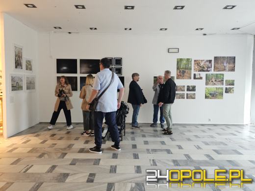 Otwarto Salon Wiosenny 2024: Przyznano nagrody i wyróżnienie