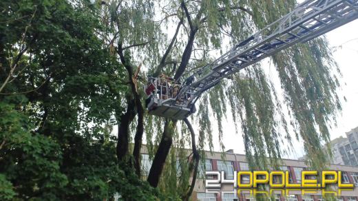 Piątkowa ulewa spowodowała zniszczenia w Opolu