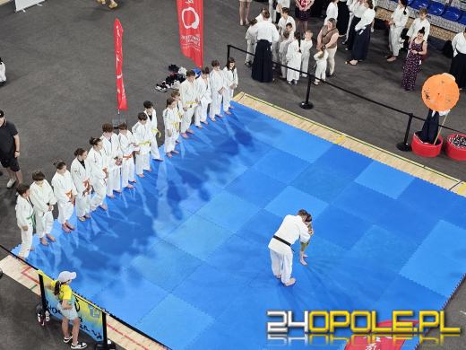 Trwa VII Dzień Sportu w Toyota Park