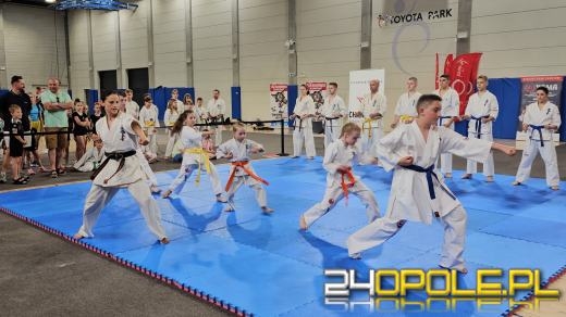 Trwa VII Dzień Sportu w Toyota Park