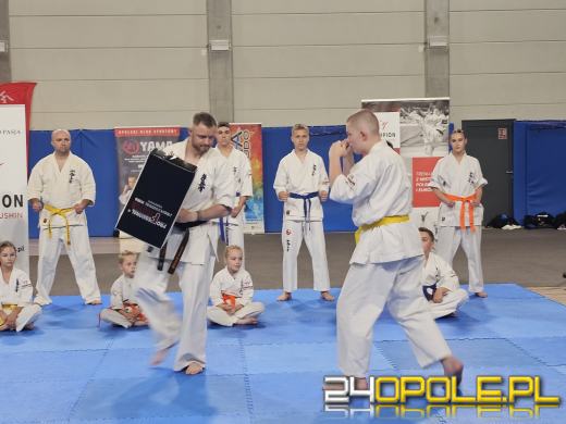 Trwa VII Dzień Sportu w Toyota Park