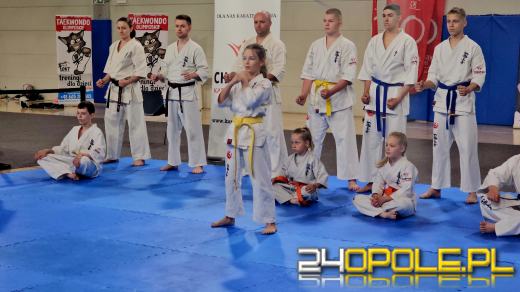 Trwa VII Dzień Sportu w Toyota Park