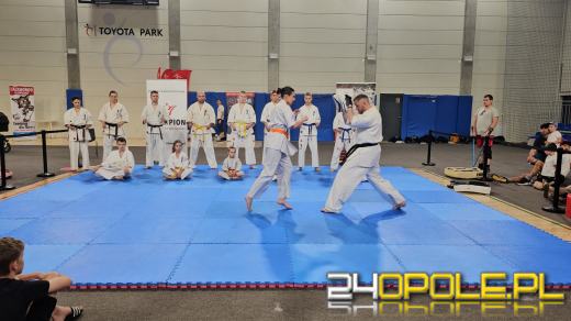 Trwa VII Dzień Sportu w Toyota Park