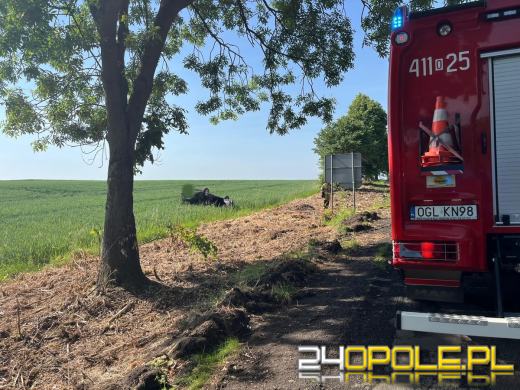 Dachowanie chryslera w polu. Nietrzeźwy kierowca zaszył się w krzakach 