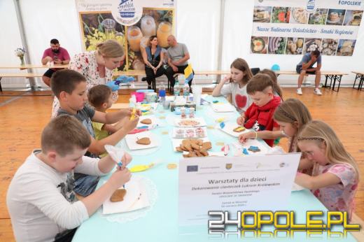 W Mosznej trwa Święto Województwa Opolskiego. Moc atrakcji dla uczestników 