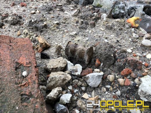 Ludzkie szczątki w kontenerze na śmieci