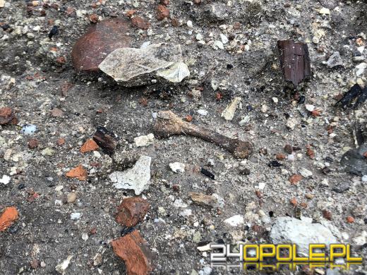 Ludzkie szczątki w kontenerze na śmieci