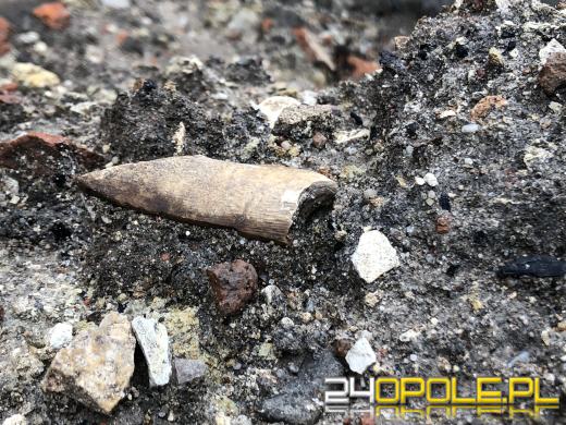 Ludzkie szczątki w kontenerze na śmieci