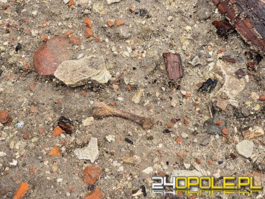 Ludzkie szczątki w kontenerze na śmieci