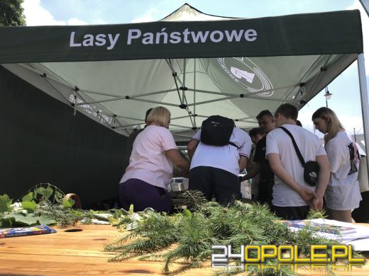 W rodzinnym klimacie uczą się dbania o środowisko 