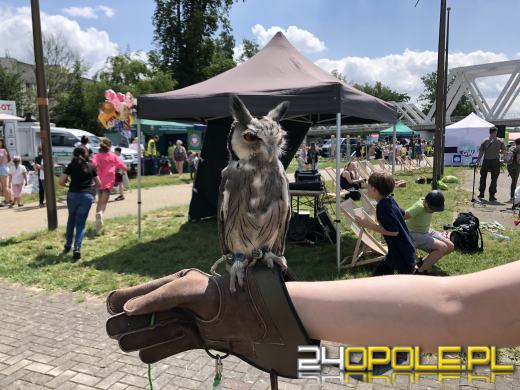 W rodzinnym klimacie uczą się dbania o środowisko 