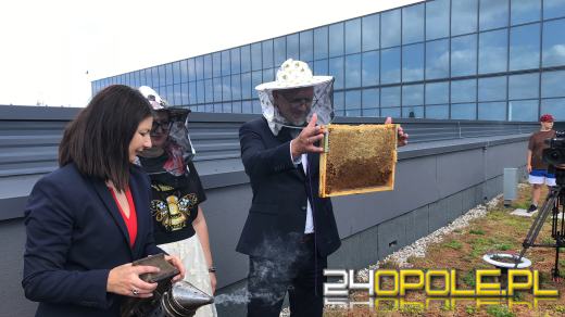 Miejskie miodobranie za nami. Miód lał się strumieniami