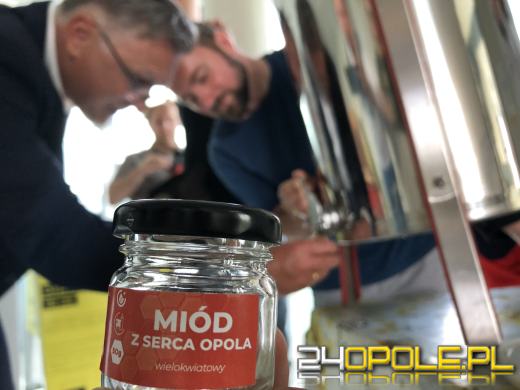 Miejskie miodobranie za nami. Miód lał się strumieniami