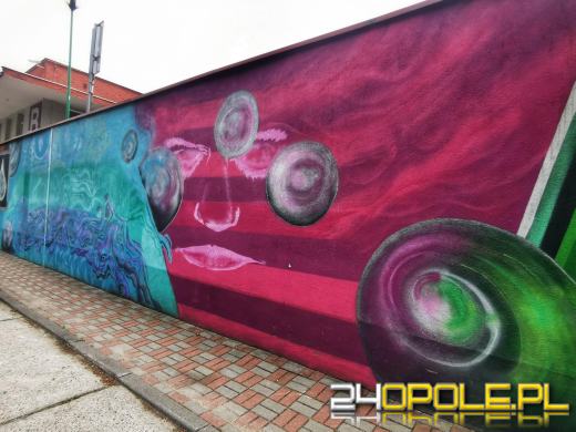 Zwiedź Opole szlakiem miejskich murali